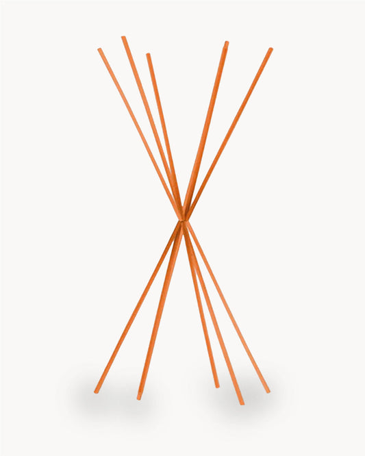 Stick Profumatore Arancioni