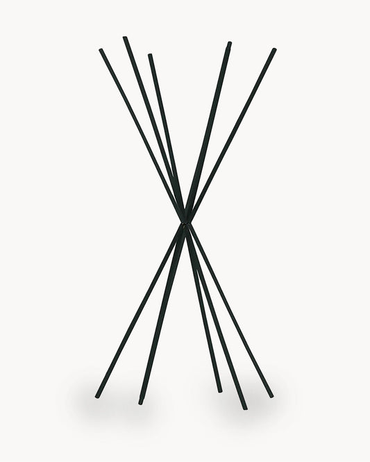 Stick Profumatore Nero